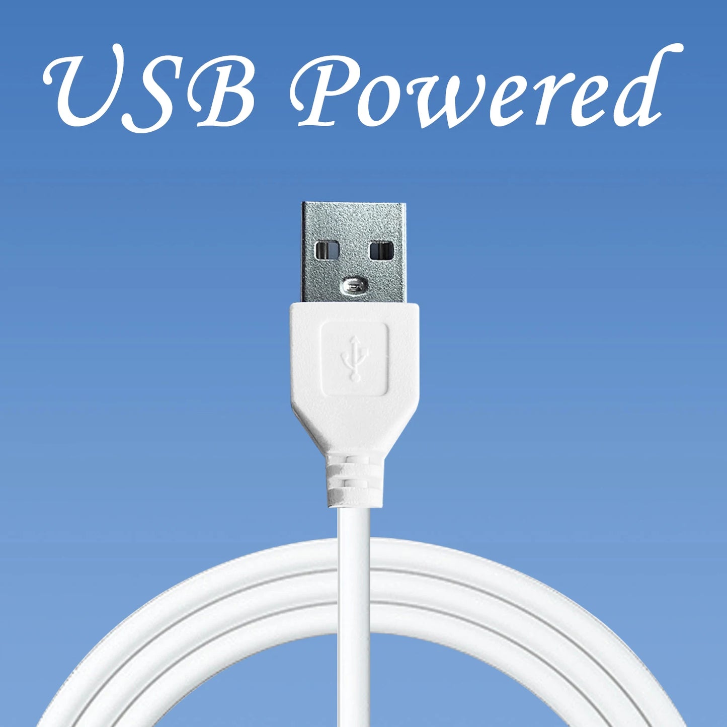Neon Sign for Home Wall Decor USB Powered Neon Sign